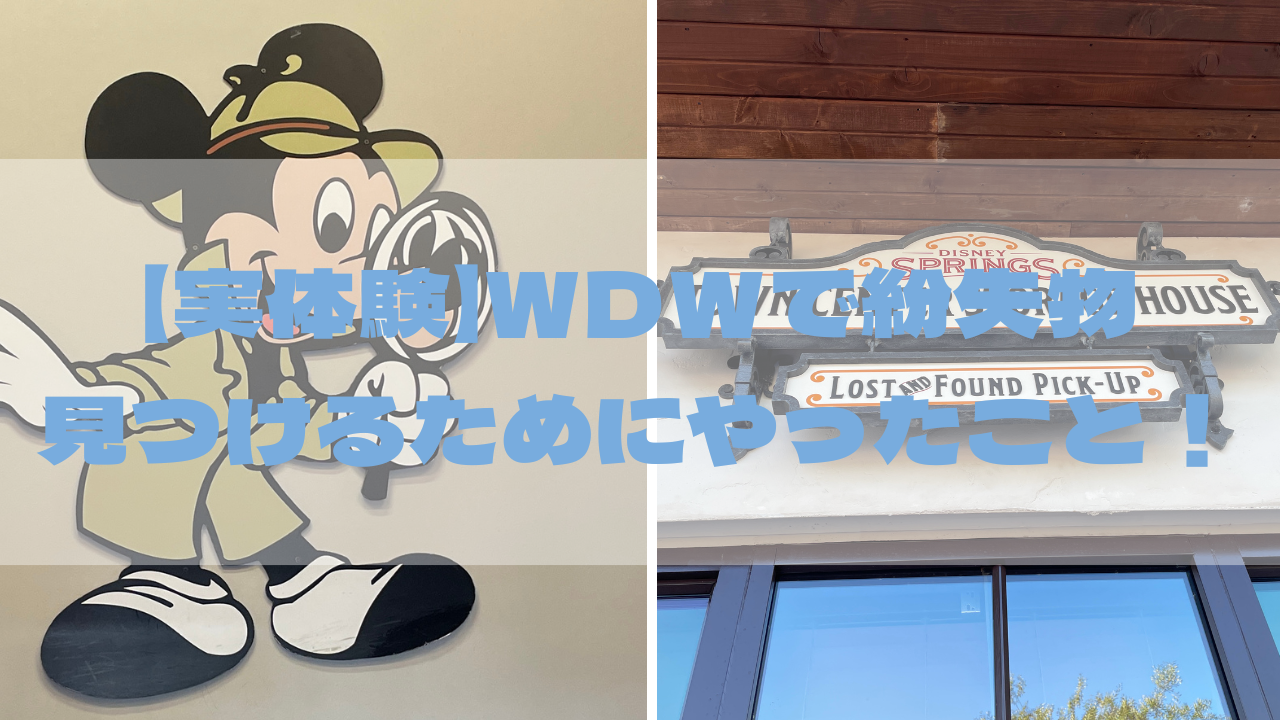 体験談 Wdwでサングラス紛失したけど見つかった話 紛失したときにとるべき行動