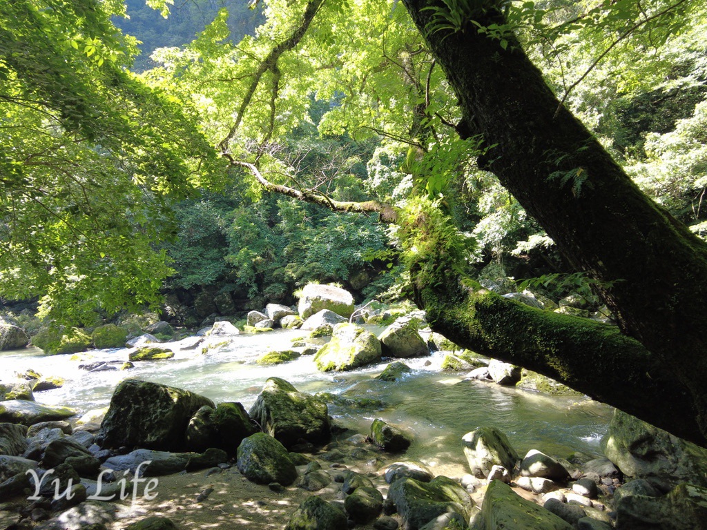 雄川滝